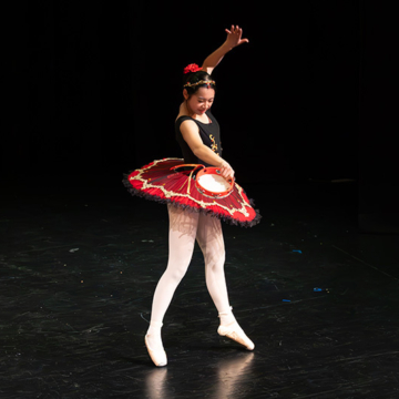 Student talent shines at Macleans College Night of Intercultural