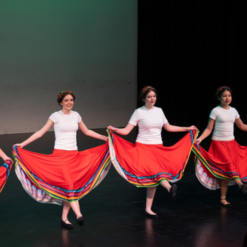 Student talent shines at Macleans College Night of Intercultural