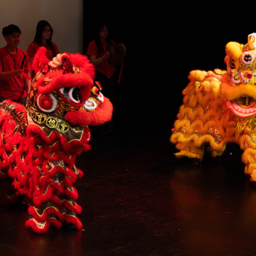 Student talent shines at Macleans College Night of Intercultural