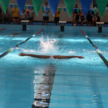 Swimming sports 2026 011