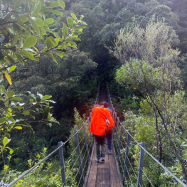 Year 11 Challenge students complete demanding Pinnacles expedition