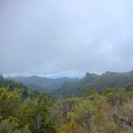 Year 11 Challenge students complete demanding Pinnacles expedition