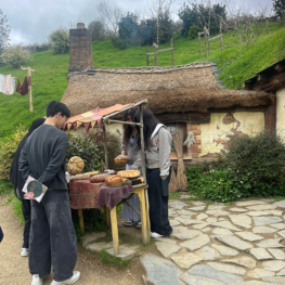 Design and Technology students at Macleans College discover the craftsmanship of Hobbiton