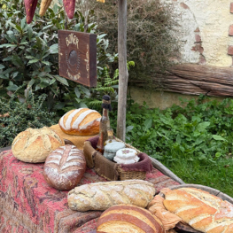 Design and Technology students at Macleans College discover the craftsmanship of Hobbiton