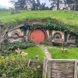 Design and Technology students at Macleans College discover the craftsmanship of Hobbiton