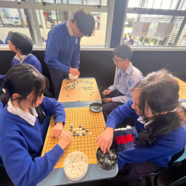 Macleans College International Languages Week 2026 celebrates culture, connection and diversity