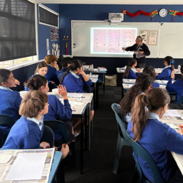 Macleans College International Languages Week 2026 celebrates culture, connection and diversity