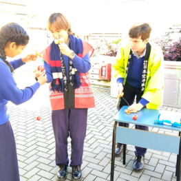 Macleans College International Languages Week 2026 celebrates culture, connection and diversity