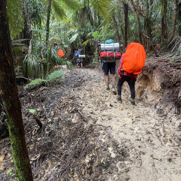 Year 11 Challenge students at Macleans College tackle demanding Crosbies Hut hike