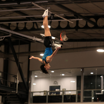 Macleans College gymnasts claim national medals