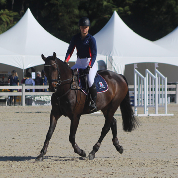 Pegasus cup kate mckeen 002