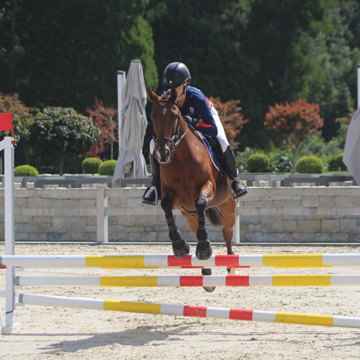 Pegasus cup olivia owen 002
