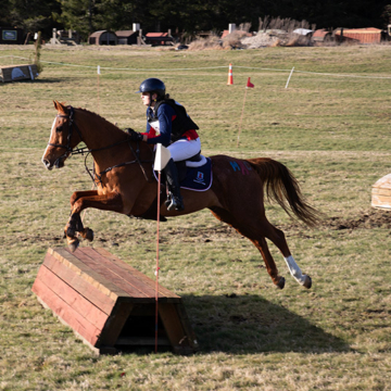 Tournament Week 2026: Macleans College Equestrian