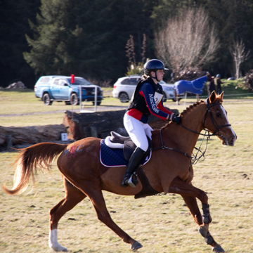 Tournament Week 2026: Macleans College Equestrian