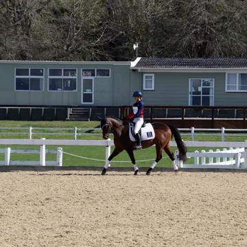 Tournament Week 2026: Macleans College Equestrian