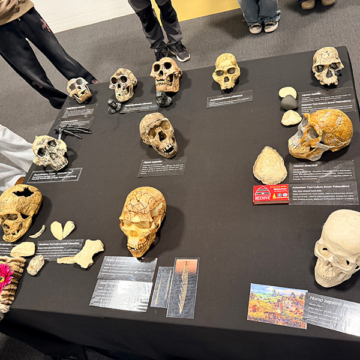 Macleans College biology students explore human evolution at Auckland Zoo