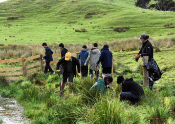 Macleans College Kaiāwhina Group plants over 1,000 native species on Ponui Island
