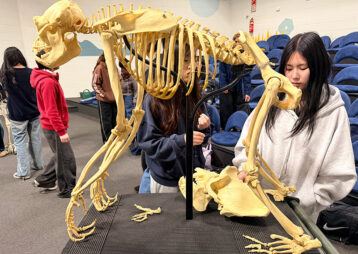 Macleans College biology students explore human evolution at Auckland Zoo