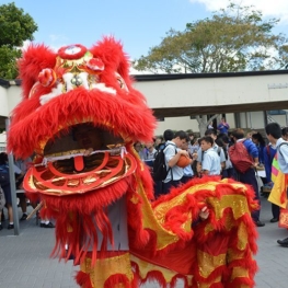 Intercultural Food Festival