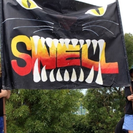 Snell House banner