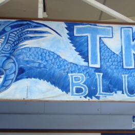 Te Kanawa House banner