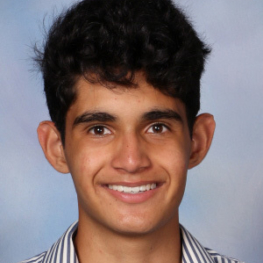 Vian shah