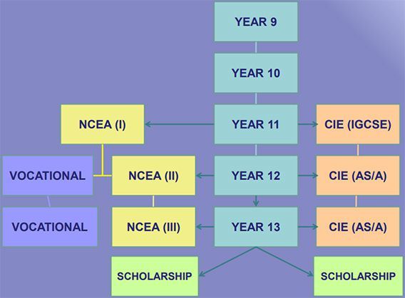 Academic Pathways Structure